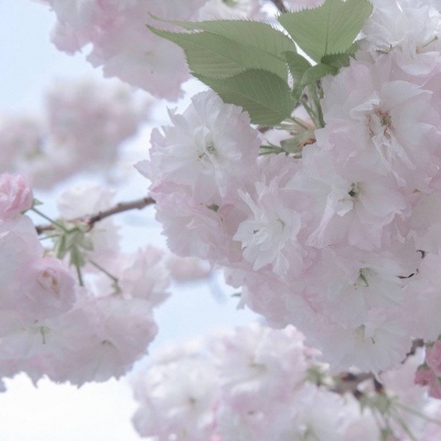 兽设治愈风格绘画兽圈群